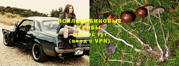 каннабис Михайловка