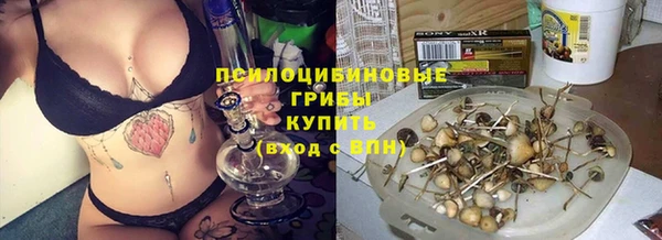 каннабис Михайловка