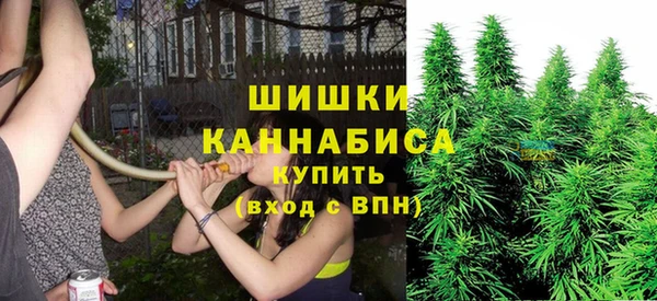 твердый Надым