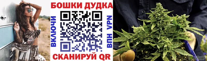 Купить закладки  Кущёвская  Конопля индика 